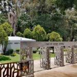 Anuncian retiro de 980 árboles por construcción del Cablebús en Puebla